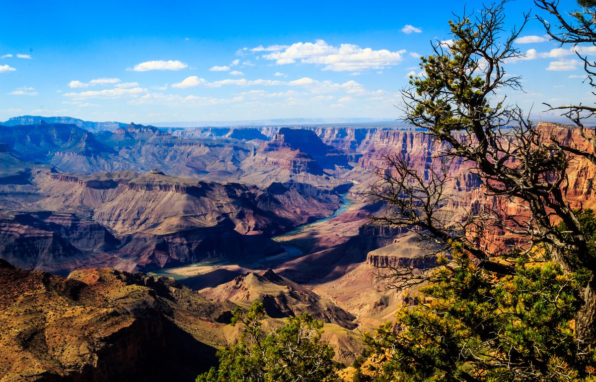 The Grand Canyon Rim to Rim