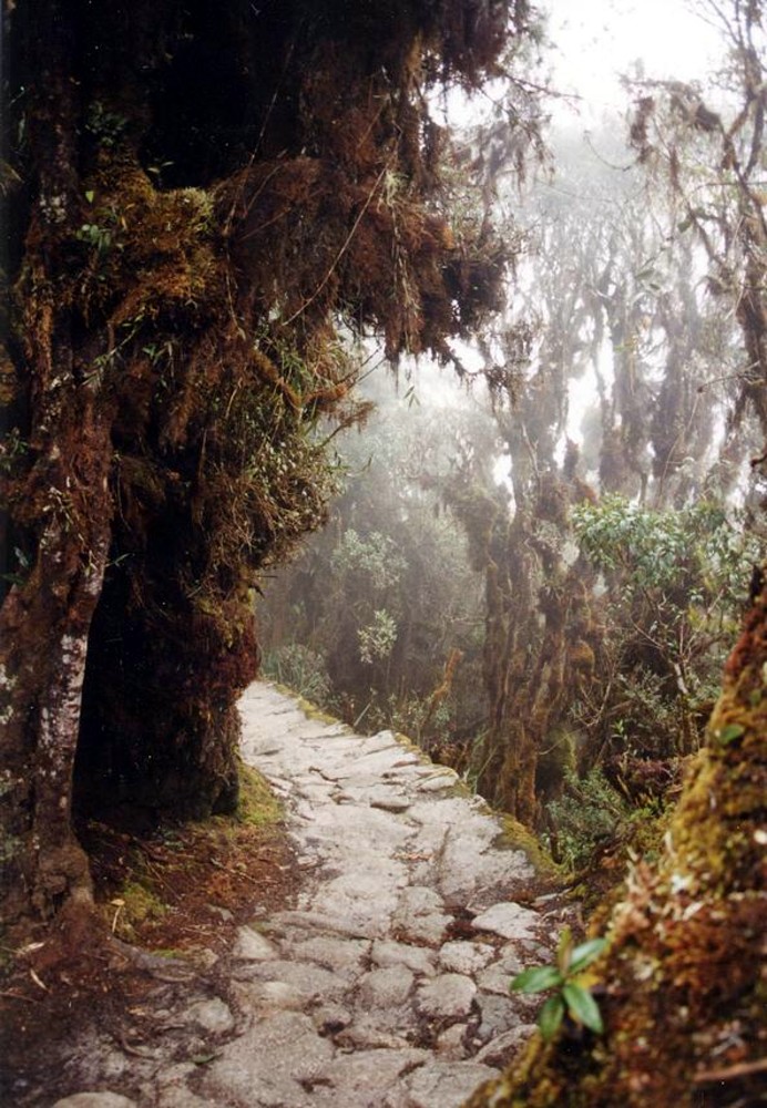 The Inca Trail to Machu Picchu