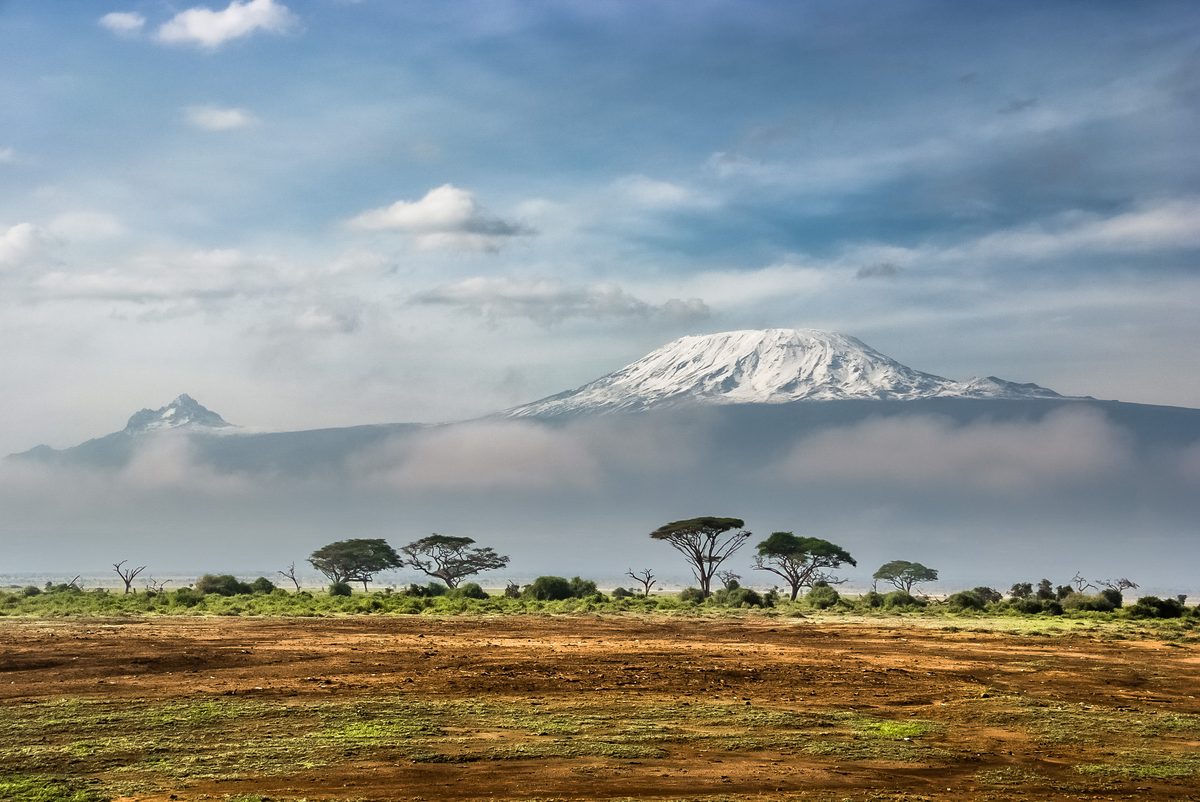 The Kilimanjaro