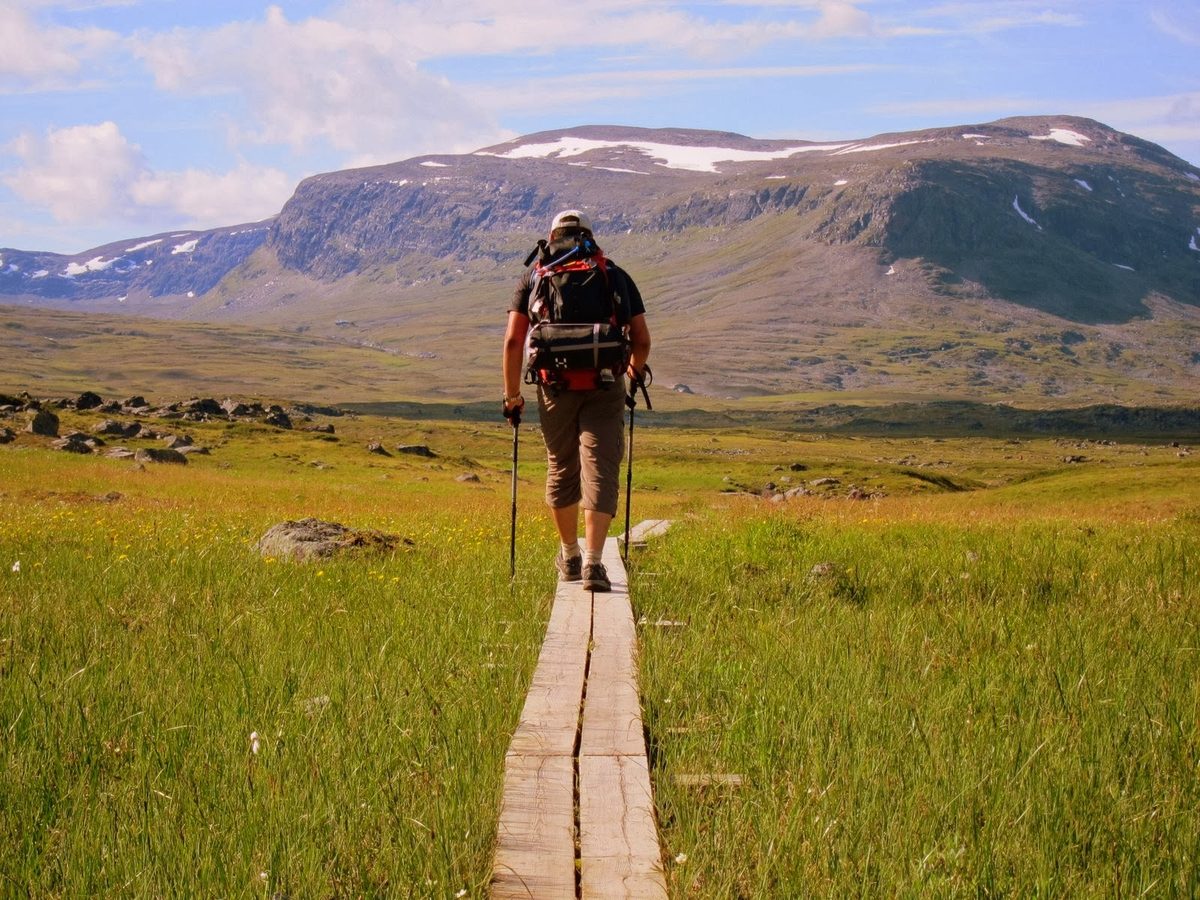 The Kungsleden